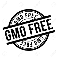 GMO